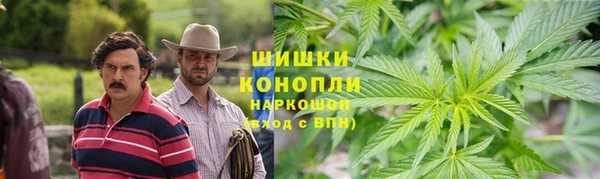 стафф Богданович